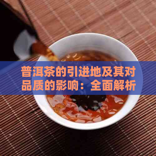 普洱茶的引进地及其对品质的影响：全面解析普洱茶产地与品质的关系