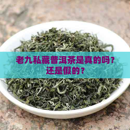 老九私藏普洱茶是真的吗？还是假的？