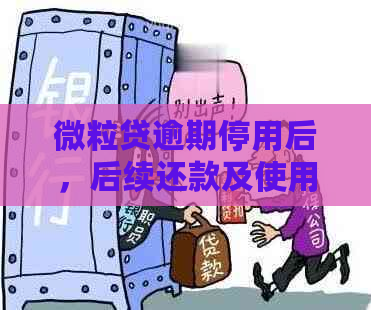 微粒贷逾期停用后，后续还款及使用是否可行？安全吗？