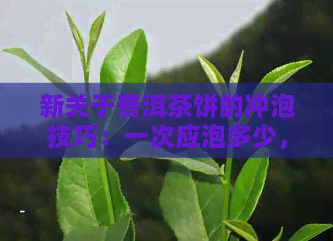 新关于普洱茶饼的冲泡技巧：一次应泡多少，何时品饮？