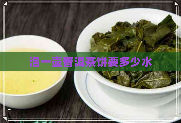 泡一壶普洱茶饼要多少水