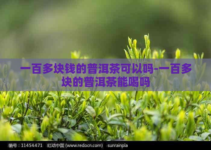 一百多块钱的普洱茶可以吗-一百多块的普洱茶能喝吗