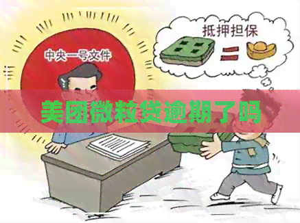 美团微粒贷逾期了吗