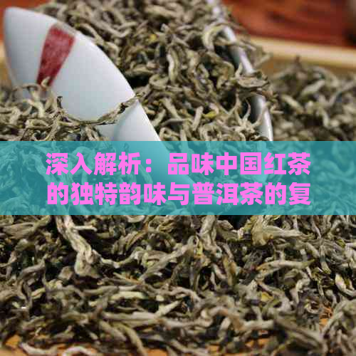 深入解析：品味中国红茶的独特韵味与普洱茶的复杂风味