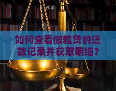 如何查看微立贷的还款记录并获取明细？