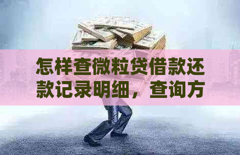 怎样查微粒贷借款还款记录明细，查询方式与步骤详解