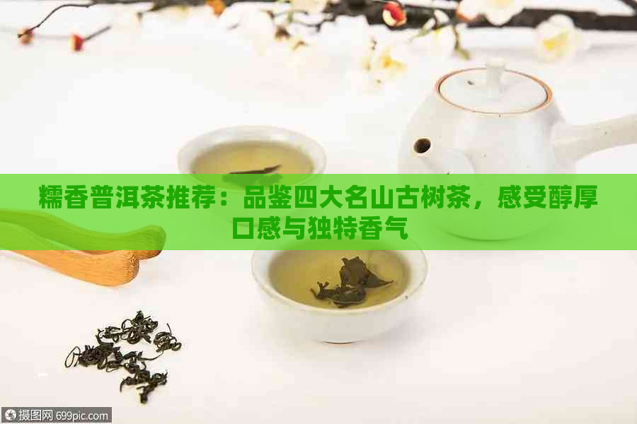 糯香普洱茶推荐：品鉴四大名山古树茶，感受醇厚口感与独特香气