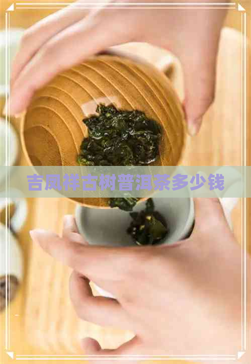 吉凤祥古树普洱茶多少钱