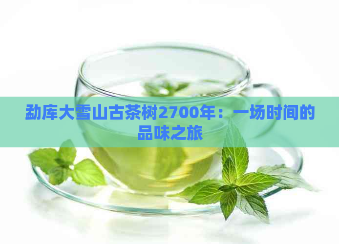 勐库大雪山古茶树2700年：一场时间的品味之旅