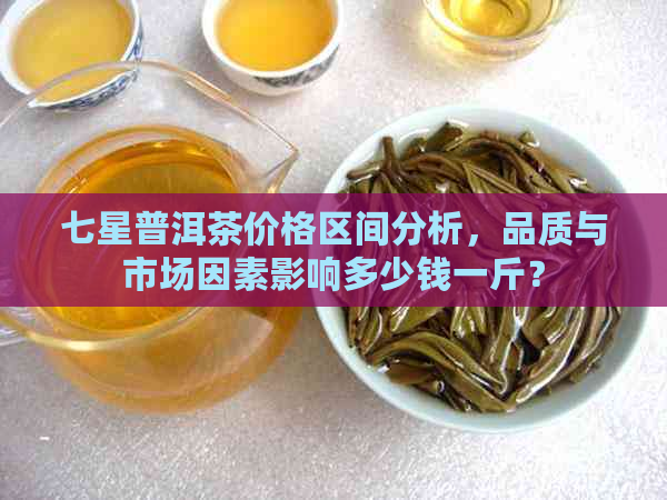 七星普洱茶价格区间分析，品质与市场因素影响多少钱一斤？