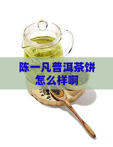 陈一凡普洱茶饼怎么样啊