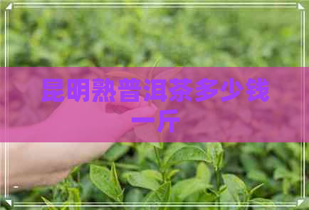 昆明熟普洱茶多少钱一斤