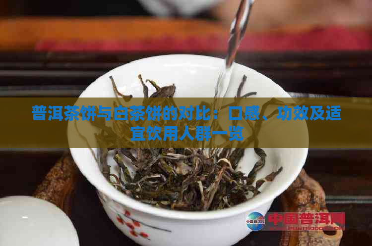 普洱茶饼与白茶饼的对比：口感、功效及适宜饮用人群一览