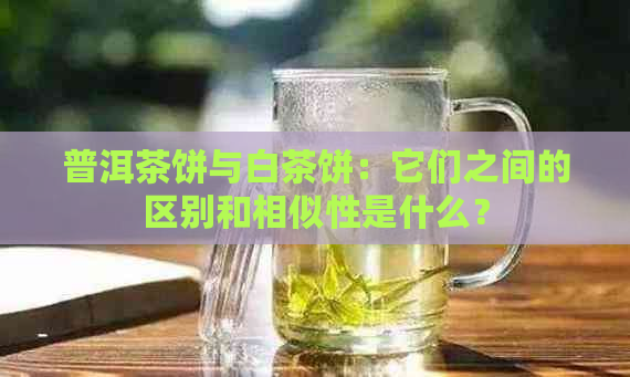 普洱茶饼与白茶饼：它们之间的区别和相似性是什么？