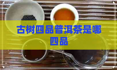 古树四品普洱茶是哪四品