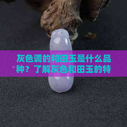 灰色调的和田玉是什么品种？了解灰色和田玉的特点和价值