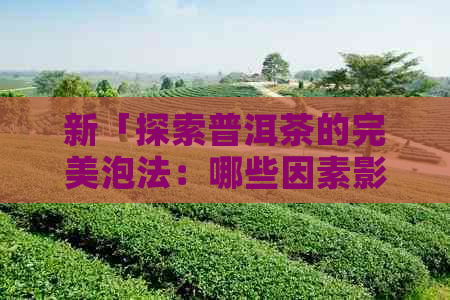 新「探索普洱茶的完美泡法：哪些因素影响口感？」