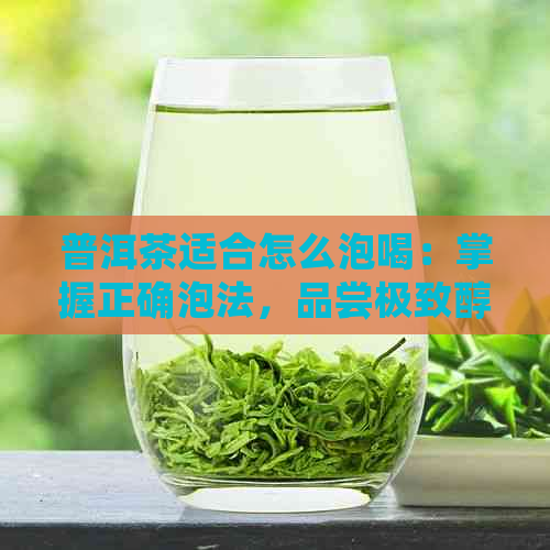 普洱茶适合怎么泡喝：掌握正确泡法，品尝极致醇香