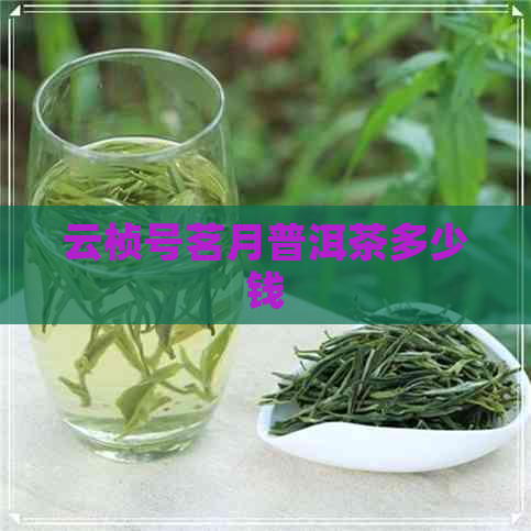 云桢号茗月普洱茶多少钱