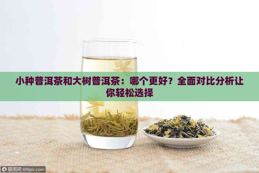 小种普洱茶和大树普洱茶：哪个更好？全面对比分析让你轻松选择