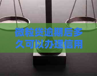 微立贷逾期后多久可以办理信用卡？逾期记录对信用卡申请有影响吗？