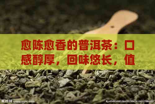 愈陈愈香的普洱茶：口感醇厚，回味悠长，值得品尝！