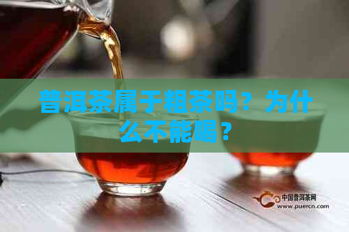 普洱茶属于粗茶吗？为什么不能喝？