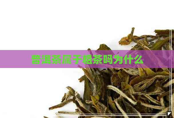 普洱茶属于粗茶吗为什么