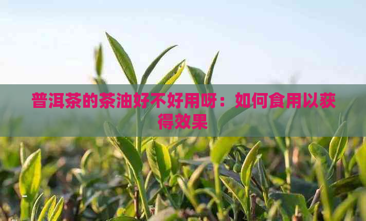 普洱茶的茶油好不好用呀：如何食用以获得效果