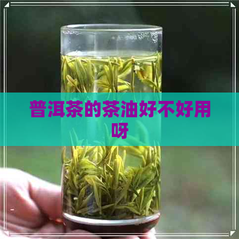 普洱茶的茶油好不好用呀