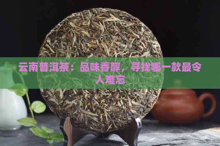 云南普洱茶：品味香醇，寻找哪一款最令人难忘