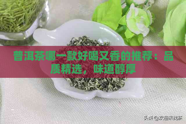 普洱茶哪一款好喝又香的推荐：品质精选，味道醇厚