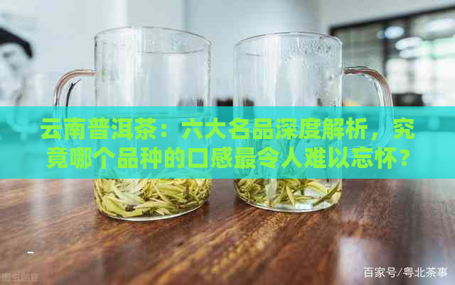 云南普洱茶：六大名品深度解析，究竟哪个品种的口感最令人难以忘怀？