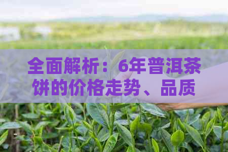 全面解析：6年普洱茶饼的价格走势、品质评估与收藏前景