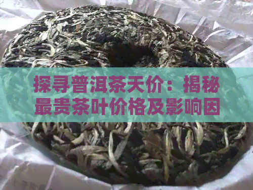 探寻普洱茶天价：揭秘最贵茶叶价格及影响因素