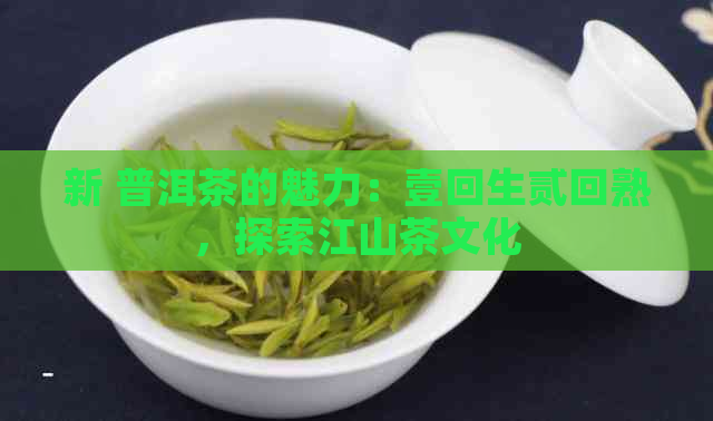 新 普洱茶的魅力：壹回生贰回熟，探索江山茶文化