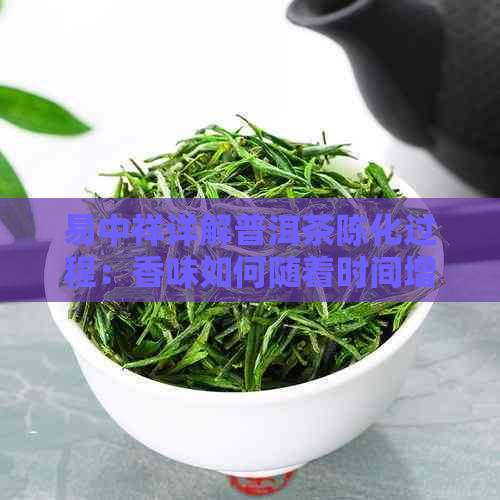 易中祥详解普洱茶陈化过程：香味如何随着时间增长而增强？