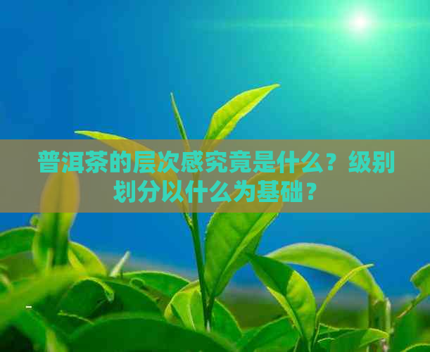 普洱茶的层次感究竟是什么？级别划分以什么为基础？