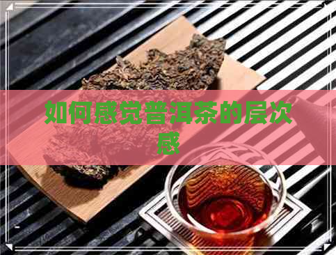 如何感觉普洱茶的层次感