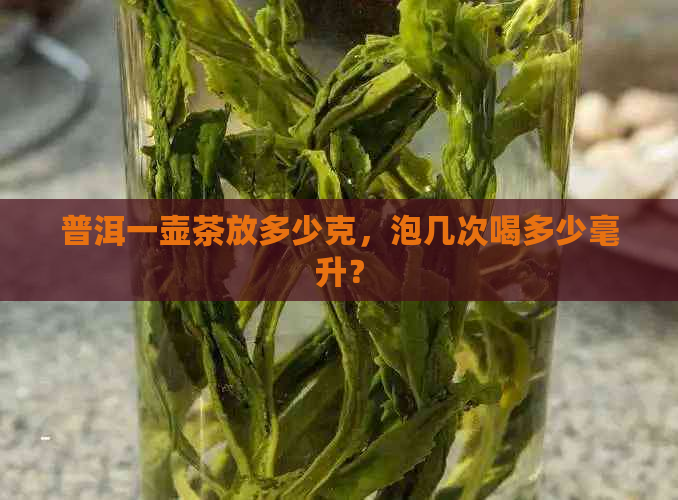 普洱一壶茶放多少克，泡几次喝多少毫升？