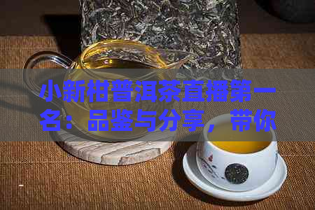 小新柑普洱茶直播之一名：品鉴与分享，带你了解体验！