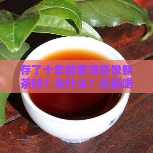 存了十年的普洱茶像新茶吗？为什么？还能喝吗？放了十年的普洱茶值多少钱？