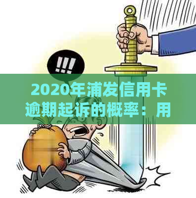 2020年浦发信用卡逾期起诉的概率：用户需了解的相关问题与应对策略