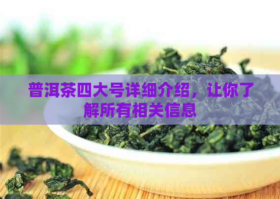 普洱茶四大号详细介绍，让你了解所有相关信息