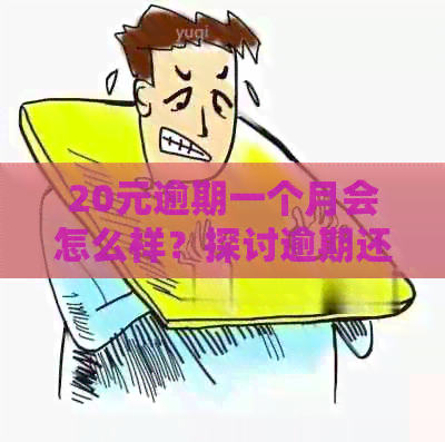 20元逾期一个月会怎么样？探讨逾期还款的影响及应对措