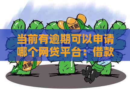 当前有逾期可以申请哪个网贷平台：借款渠道大全