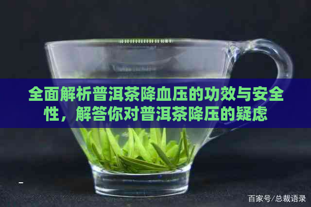 全面解析普洱茶降血压的功效与安全性，解答你对普洱茶降压的疑虑