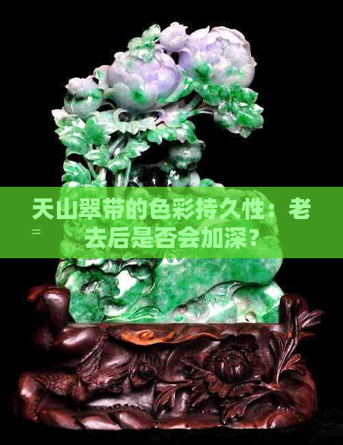 天山翠带的色彩持久性：老去后是否会加深？