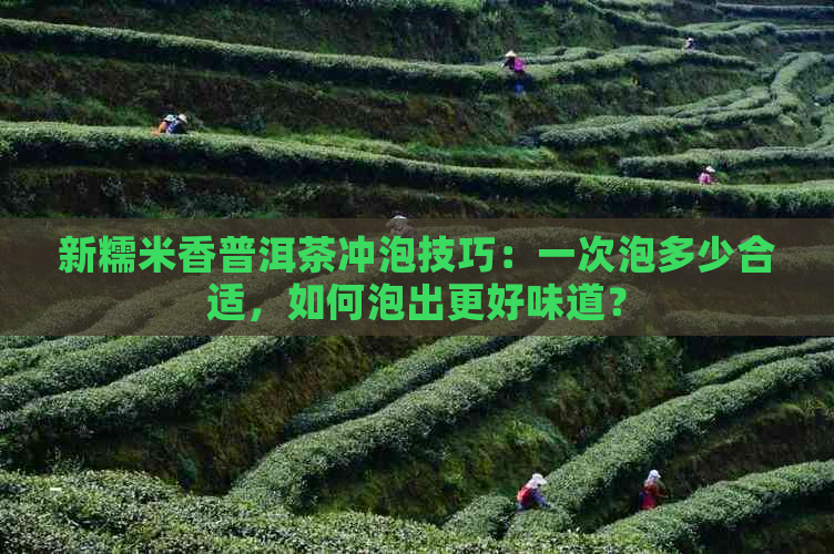 新糯米香普洱茶冲泡技巧：一次泡多少合适，如何泡出更好味道？