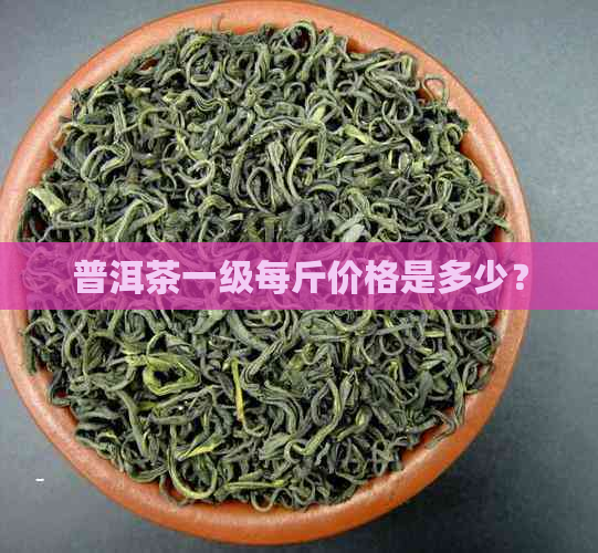 普洱茶一级每斤价格是多少？